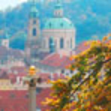 Paratha House & Restaurant